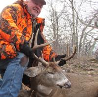 Manitoba Fishing Lodges - Lynn Lake Fly image 4